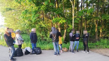 Около трети нелегальных мигрантов могут остаться в Литве - департамент миграции