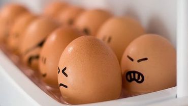 Куры в депрессии, а покупатели яиц в стрессе                                