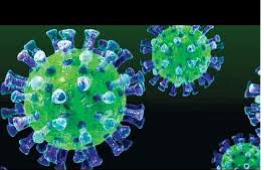 Каковы основные симптомы коронавируса?