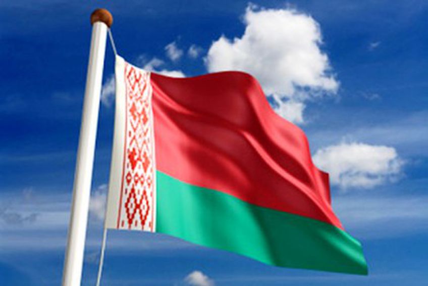Евросоюз намерен упростить визовый режим с Белоруссией