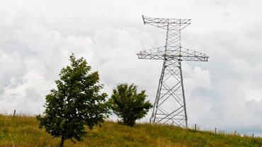 Эстонцы электроэнергию покупали на 40% дешевле, чем литовцы