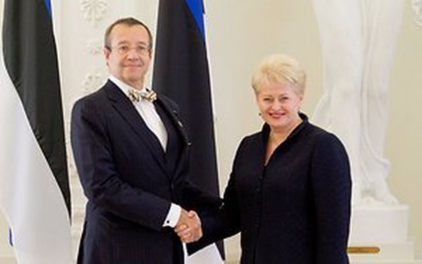 Президент Эстонии: не стоит строить иллюзии и сваливать вину на евро                                 