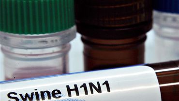 В Литве зафиксирован первый смертельный случай от гриппа A(H1N1)


