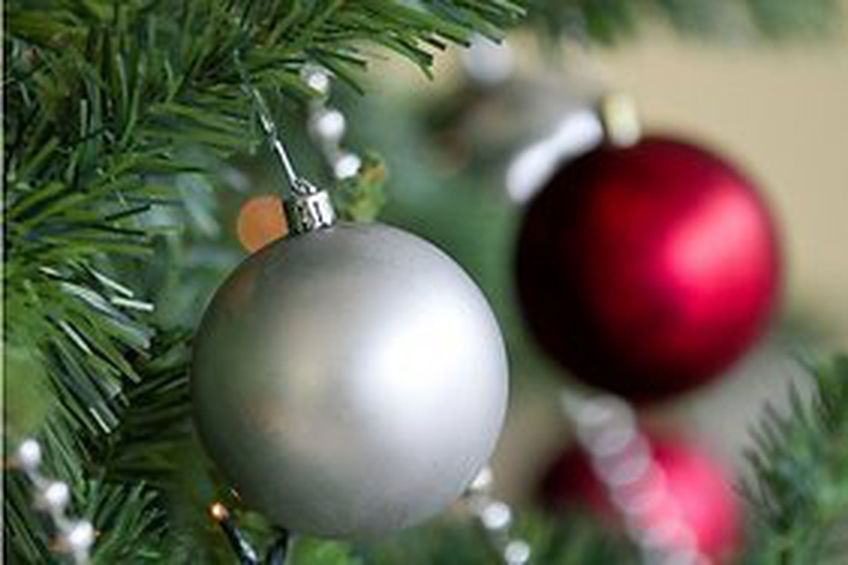 Цикл рождественских и новогодних мероприятий «Встречи»                   