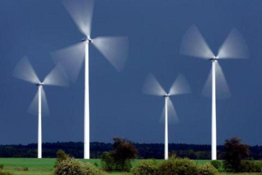 Латвия построит в Балтийском море парк ветряных генераторов