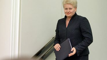 Парламент Литвы отдыхает, правительство не заседает, президент работает

                                                                