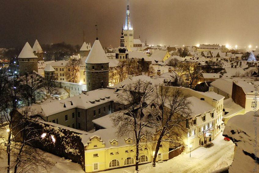 В Новый год премьер Литвы посмотрит на введение евро в Эстонии

