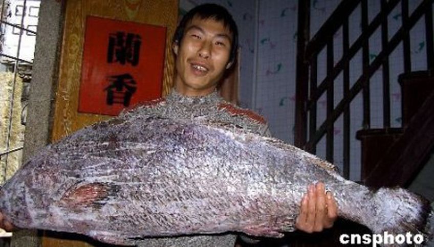 Китайский рыбак поймал «золотую рыбку»