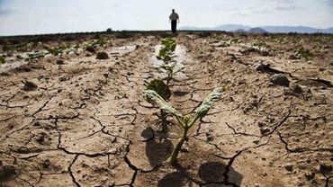 Минсельхоз: в связи с засухой ЕС решил снизить требования к фермерам