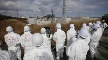 Япония поделится с Литвой опытом Фукусимы 