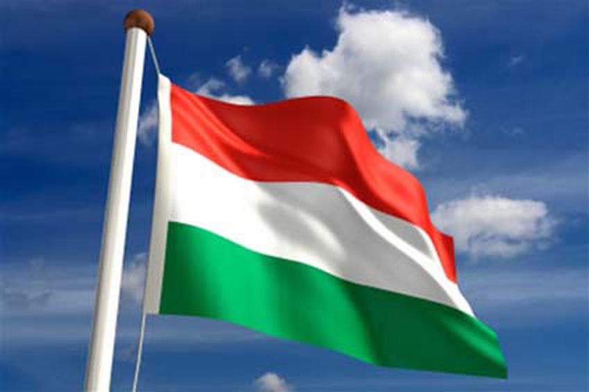 Венгрия может попасть под санкции Евросоюза