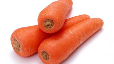 Чем полезна морковь?