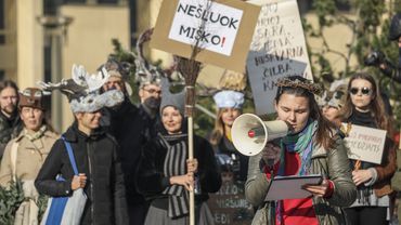 В Вильнюсе прошло шествие против вырубки лесов: политиков призывали защищать природу