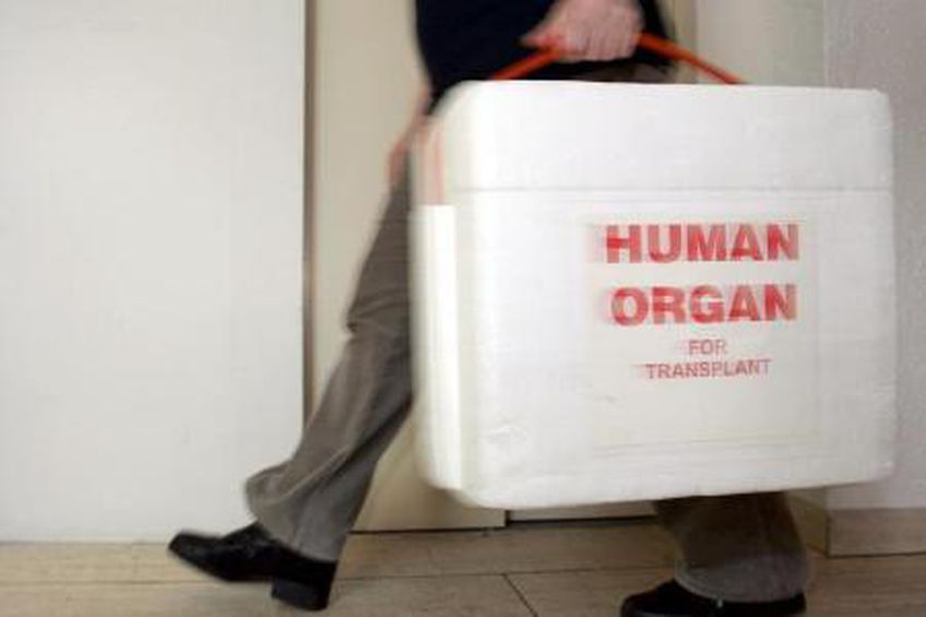 В странах Балтии — единая система трансплантации органов?