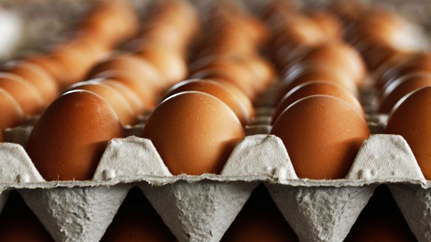 Торговые центры в Литве намерены отказаться от самых дешевых яиц