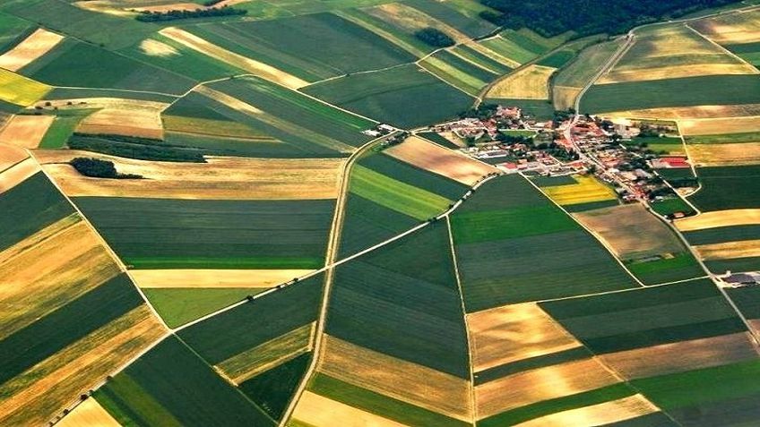 Право собственности на землю восстановили около миллиона граждан Литвы.