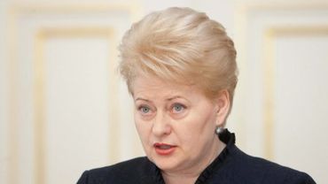Президент Литвы: Евросоюз не должен идти на уступки России


