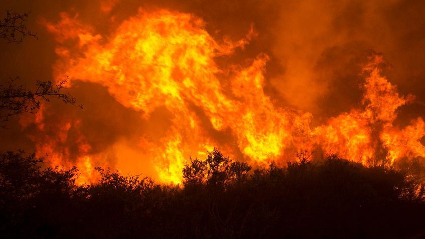 Площадь пожара "Томас" в Калифорнии превысила 1 тыс. кв. км