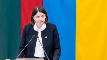 G. Skaistė: kol kas nėra teisinių mechanizmų, kaip užšaldytas Rusijos lėšas panaudoti Ukrainos atstatymui