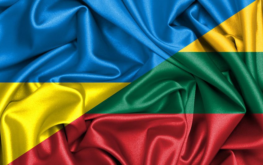 Вузам Литвы распределены средства для обучения украинских студентов