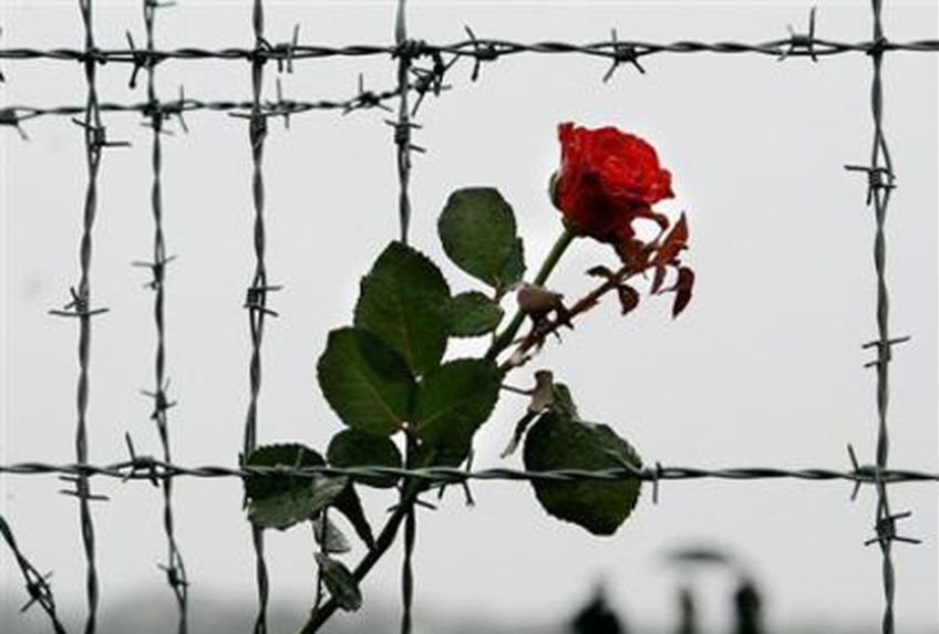 Сегодня в мире отмечается День освобождения узников фашистских концлагерей                               