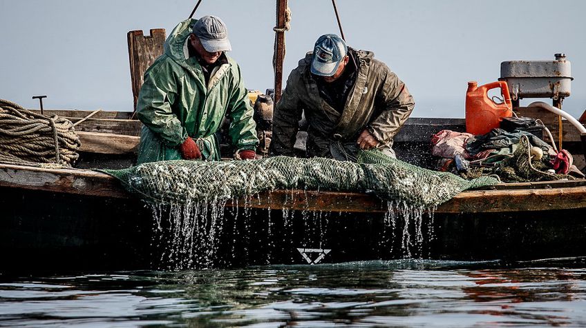 Уголовные дела возбуждены в отношении задержанных в Азовском море украинских рыбаков