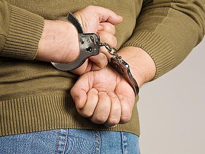 Дебоширам придется туго. А полиции?                                                                 - Происшествия и криминал