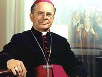 Студентам-медикам не нужно знать об искусственном оплодотворении – церковь Литвы - Наука и здоровье