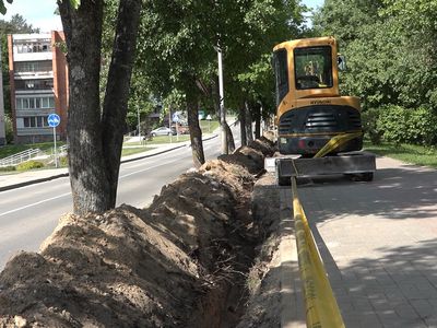 Выживут ли деревья после модернизации городской системы освещения? (видео) - В Висагинасе
