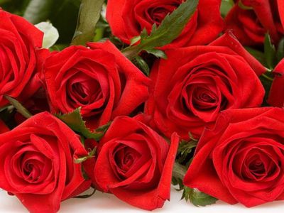 Поздравляем Игоря Красикова с юбилеем! - Поздравления