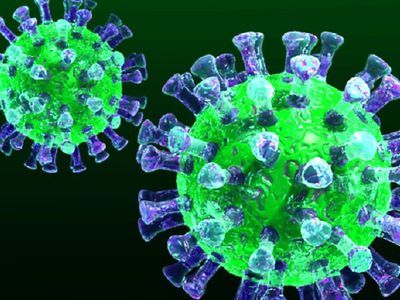 COVID-19.  Статистика в Висагинасе - В Висагинасе