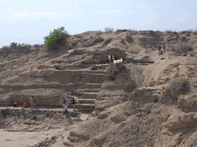 Найдены самые древние следы человека - Наука и здоровье