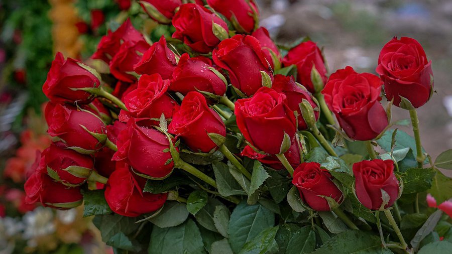 Премьер-министр поздравила пожарных-спасателей с их профессиональным праздником - Поздравления