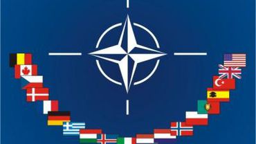 Президент Литвы: Мы реальный, а не формальный член НАТО

