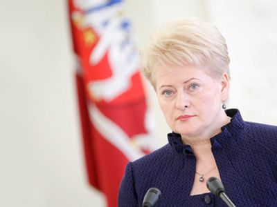 Президент Литвы: заключение КС усиливает подозрения по поводу прозрачности Партии труда - Литва и страны Балтии