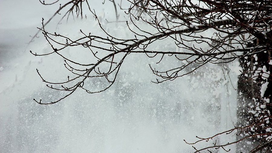 В Литву возвращается зима: прогнозируют вьюгу и сильный ветер - Литва и страны Балтии