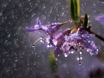 Прогноз: Литву ожидает неприятная погода - Литва и страны Балтии