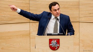 Геи Литвы против депутатов