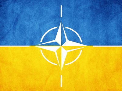 Страны НАТО пообещали Киеву «всестороннюю поддержку» и советников - В Мире