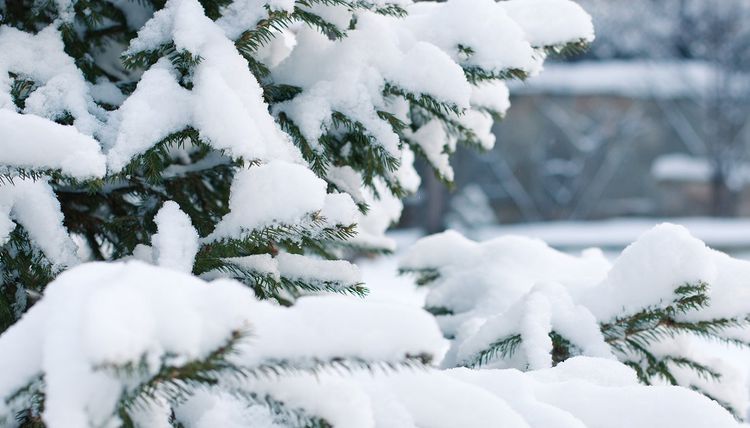 Зимняя погода из Литвы не уйдет: где выпадет больше всего снега