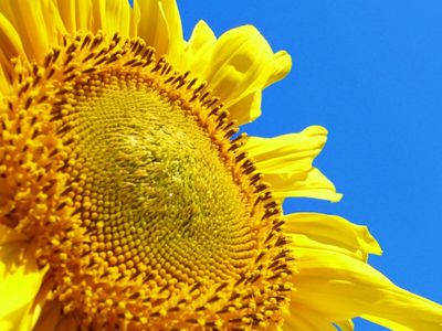 В выходные будет тепло и влажно, с понедельника похолодает - Литва и страны Балтии