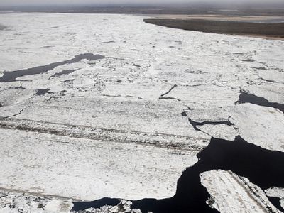 Пассажирский паром оказался зажат льдами на реке Лена в Якутии - В Мире