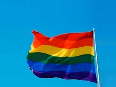 ЕС призвал Россию не принимать закон о запрете гей-пропаганды - В Мире