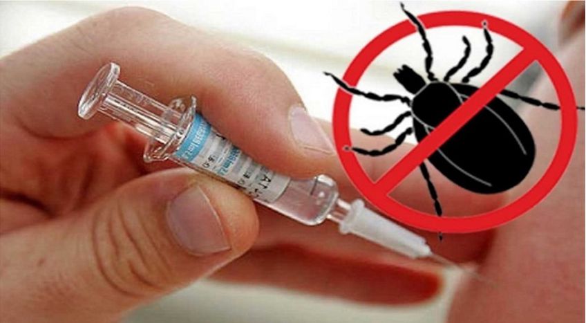 Литва закупила вакцину против клещевого энцефалита