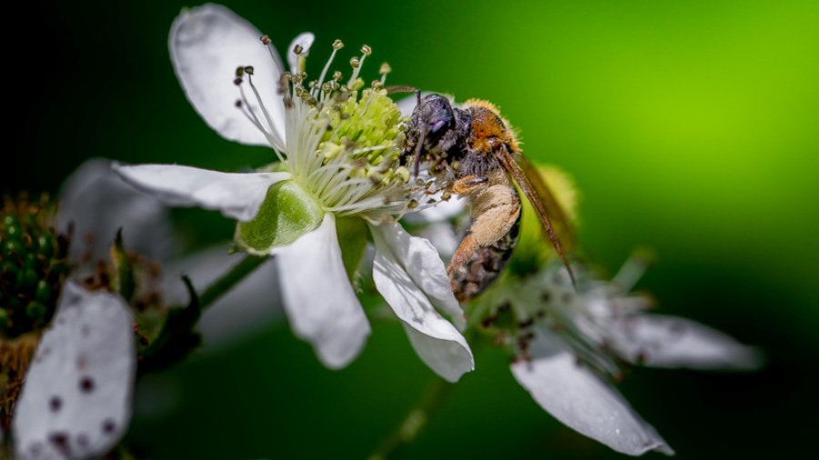 В выходные в Литве тепло, на следующей неделе - лето - Литва и страны Балтии