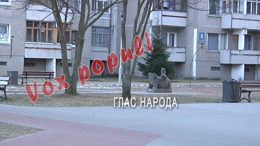 Глас народа: Куда пошли деньги местных сообществ? - В Висагинасе