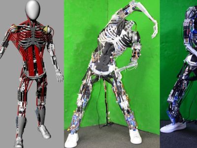 Человекоподобные роботы по сложности подбираются к человеку (видео) - Наука и здоровье