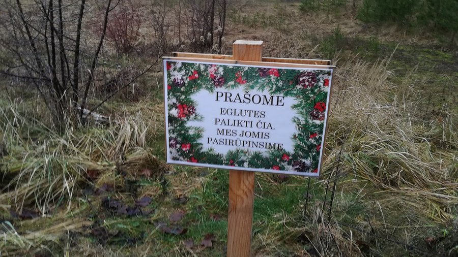 И где же эта красота? С координатами места выброса елок ошиблись метров на 300 - В Висагинасе