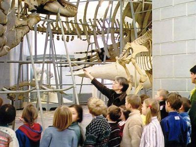 С сентября будущего года посещение музеев для школьников будет бесплатным - Литва и страны Балтии