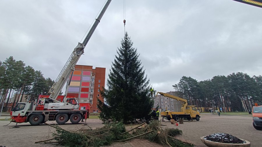 На площади Сантарвес установили необычную новогоднюю ёлку (видео) - В Висагинасе